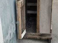Ela veziyyetdedir möhkemdir quşlari tergitmişem diye satiram isteyen — foto 3