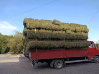 Кастра Кастра Сено в тюках (луговое/разнотравье) - Заготовка текущего — ছবি 4