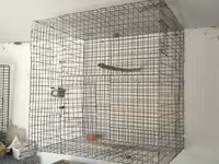Metalkarkas quş qəfəsləri – iri həcmli model Məhsul təsviri: - — عکس 1