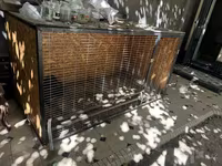 Chickens — foto 7