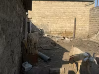 Capră, Capre — foto 3