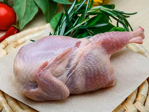Carnita de prepelita