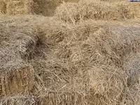 Солома в тюках Описание: - Пшеничная/ячменная солома, запрессована в — foto 1