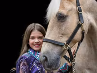 فرس, Palomino — الصورة 2