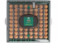 Incubator de ouă EU Profi C-72 — عکس 3