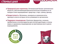 Белково-витаминно-минеральная добавка для свиней 65-110 кг Ava Zdorova Финиш 10% 25 кг — foto 2