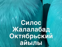 СИЛОС-Жалалабат село Октябрское — foto 1
