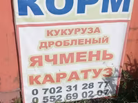 Корм и ингредиенты для сельхозживотных и птицы.ячмен кукуруза пшеница — foto 1
