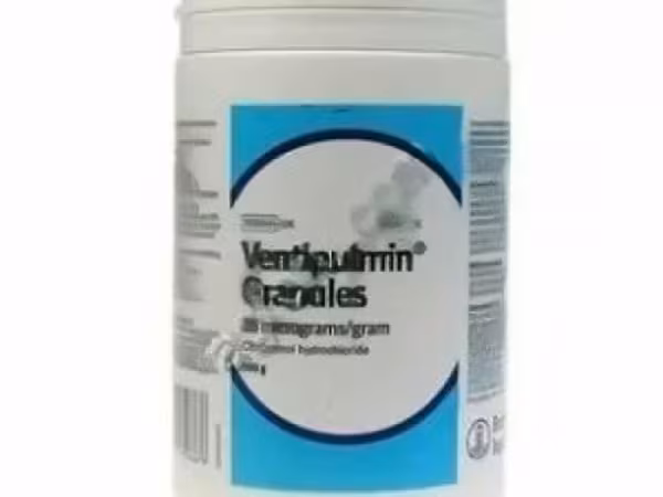 Вентипульмин / Ventipulmin/ лошади г
