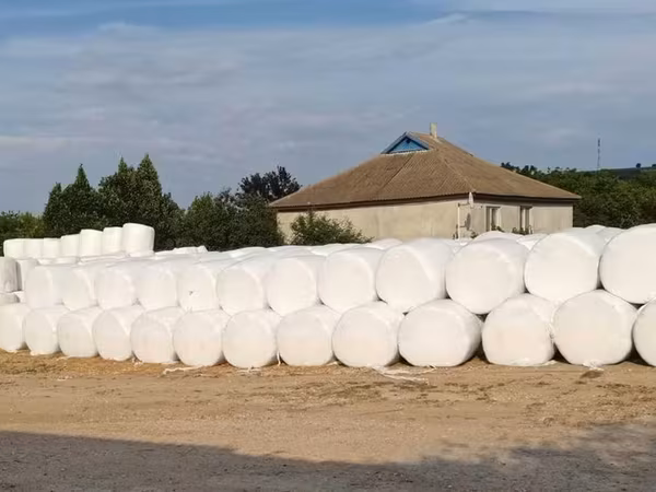 Vand baloti de senaj de lucerna