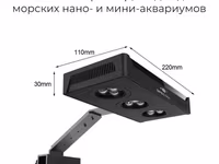 Ծովային ակվարիումի լույս — عکس 1