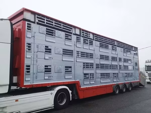 Скотовоз универсал pezzaioli sba31