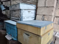 Arıçılıq üçün taxta pətəklər - Material: qalın taxta gövdə, üst — عکس 1