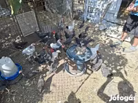 Chickens — foto 6