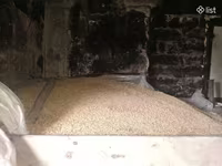 6 քյոշանի գարի-գարի սերմի — รูปภาพ 1