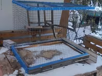 Թռչունի Վանդակ 70 * 50 * 50 — foto 1
