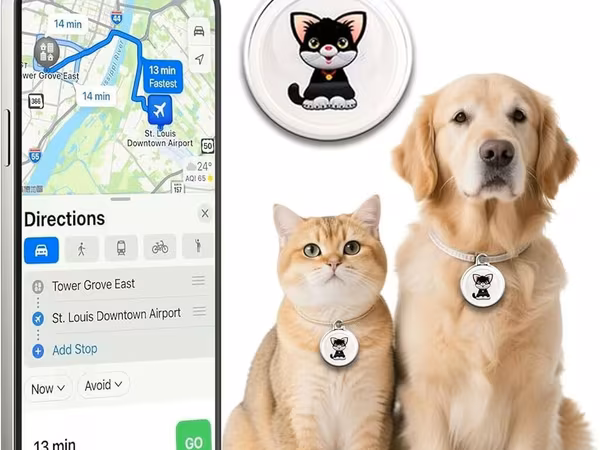 🐱 GPS heyvan izləmə cihazı Ev heyvanınızın yerini müəyyən etmək üçün