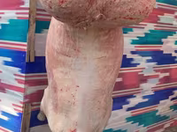Domba jantan, Rhon sheep — foto 4