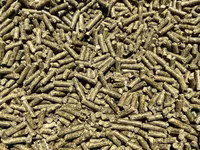 Vindem furaj granulat 2.5mm pentru sinsila produs in Ungaria (șinșila,chinchila,шиншила,sinsila) — լուսանկար 1