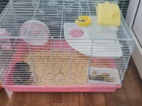 Cırtdan hamsterlər və tam avadanlıqlı qəfəs dəsti 2 qəfəs böyük və — fotografija 2
