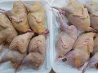 Carnita de prepelita — Foto 2