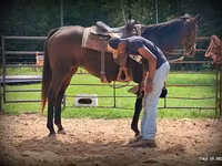 مادیان, Quarter Horse — عکس 5