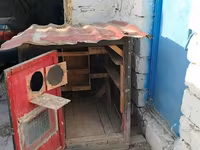 Taxta göyərçin daxması / quşxana - Material: qalın taxta karkas, iç — fotografija 4