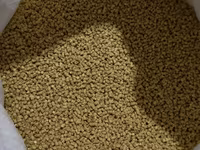 Granule — ছবি 3