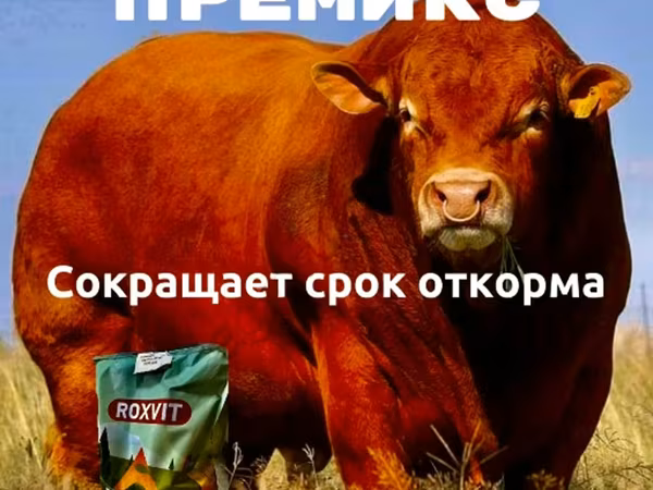Для быстрого откорма КРС и МРС