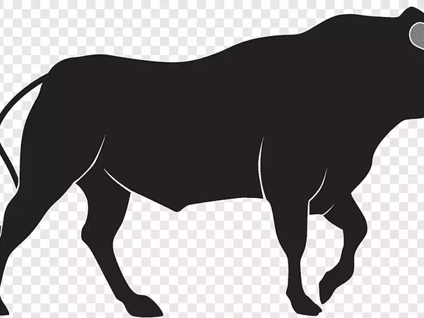Bull, Cattle — Russia