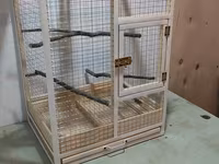 Papuqay,dovşan,hamster,şinşila,bildirçin,cücə,xamyak,pişik,quş,tısbağa — รูปภาพ 2