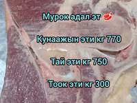 Халал мясо “Мурок” (Бишкек) - Говядина/телятина: конина? На фото — sawirka 1