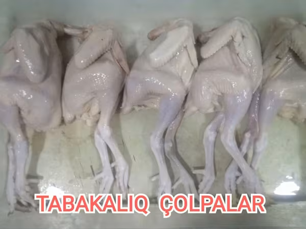 • Pulsuz Çolpa Əti. Ən böyük çəkidə 850+ qramlıq 5 ədəd alana 1 ədəd