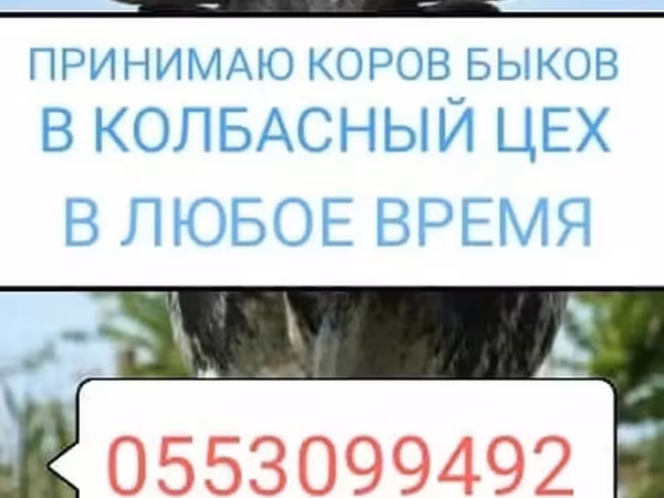소