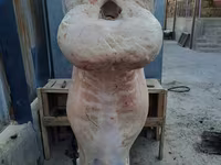 قوچ, گوسفند — عکس 5