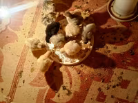 Turkeys — عکس 1