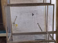 Qefesler tutuqusu,bulbul,amadin saxlamqcun,ucdene qefesi var ucunde — الصورة 2