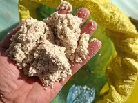 Каша патка моллар — снимка 2