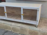 Dovşan,hamster,şinşila,bildirçin,cücə,xamyak,pişik,quş ve s kimi ev — sawirka 1