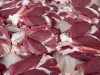 قوچ, گوسفند — عکس 5