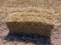 Soloma — foto 3
