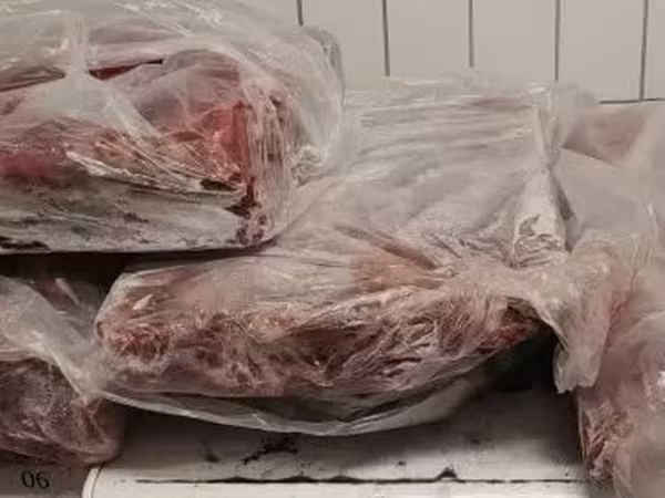 Пашина гов. зам.