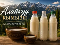Кымыз, саамал, Оптом, Бесплатная доставка, Платная доставка — foto 1