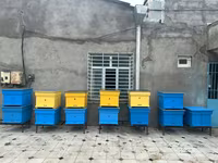 Arıçılıq üçün taxta arı pətəkləri - Model: çoxkorpuslu taxta pətək - — عکس 4