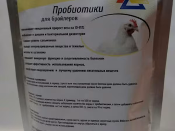 Chickens — Mołdawia