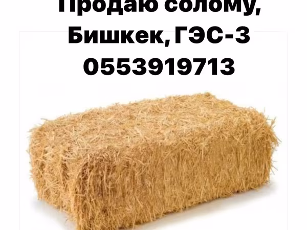 Продаю солому, штучно по 250 сом от 5 до 10 штук, от 11 до 20 по 200