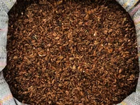 Жмых расторопши — புகைப்படம் 1