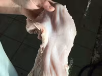 Желудок свиной — फ़ोटो 4