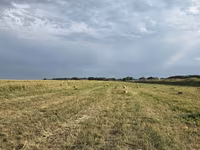 🌾 Сено после семенника 🌾 Продам сено, после обмолота. кастра Без — foto 1