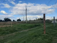 Pecora, Romanov sheep — foto 3